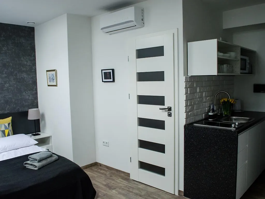 Modern Studios In Old City Cracovia