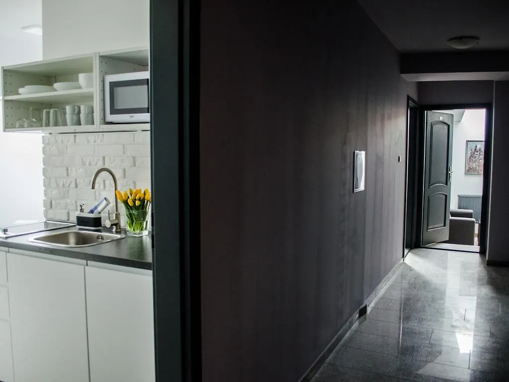 Modern Studios In Old City Krakov